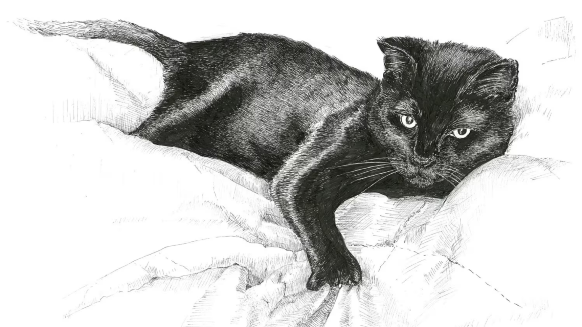 How to Draw Black Cat-Drawing Tutorial
